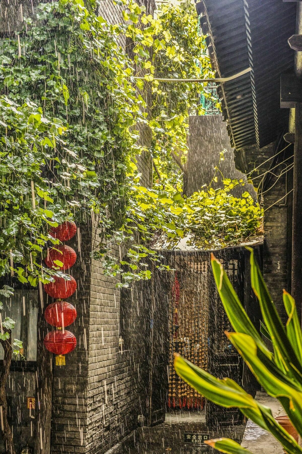 Hill Lily Courtyard Hotel Beijing Exterior photo